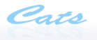 �L���b�c
